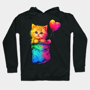 Cat Rainbow Scarves Hoodie